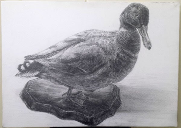 KAMO/鴨！ | イラストレーター いとうみちろう のブログ