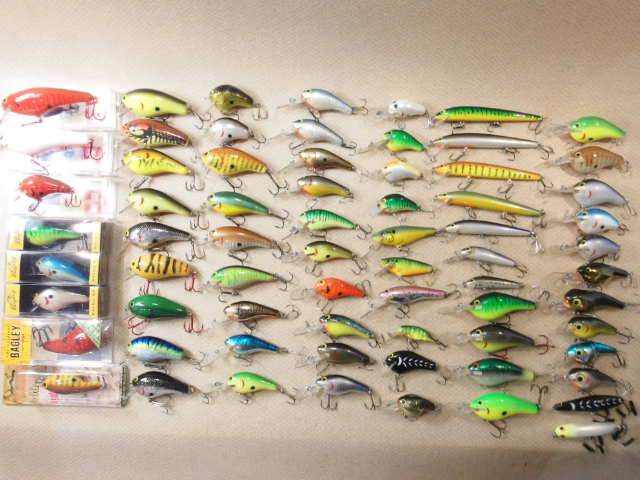 オールドバグリー , 現行バグリー いっぱい入荷しました | ランブル