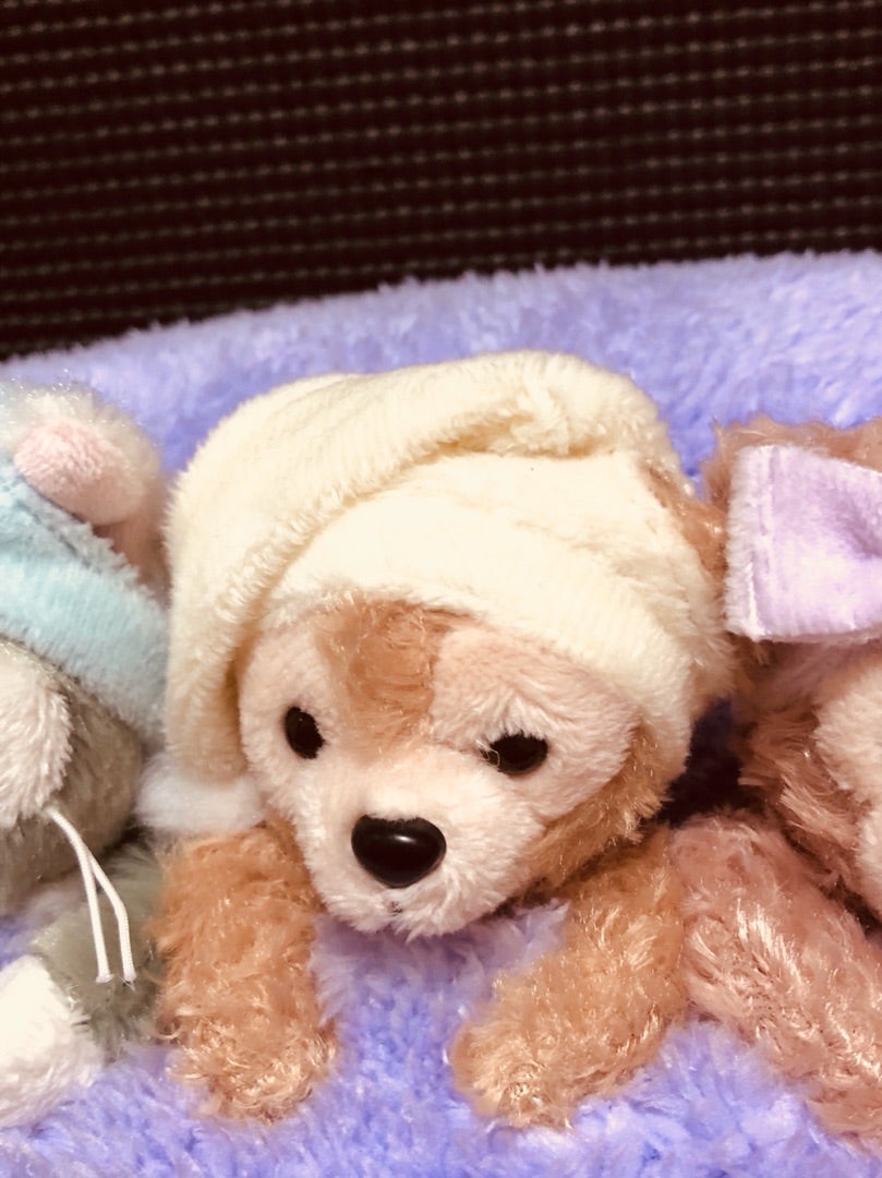 新発売のクッション♡ダッフィーのオータムスリープオーバー