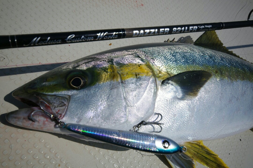 ダイブベイト140 セッティング | ローカルスタンダードのブログ