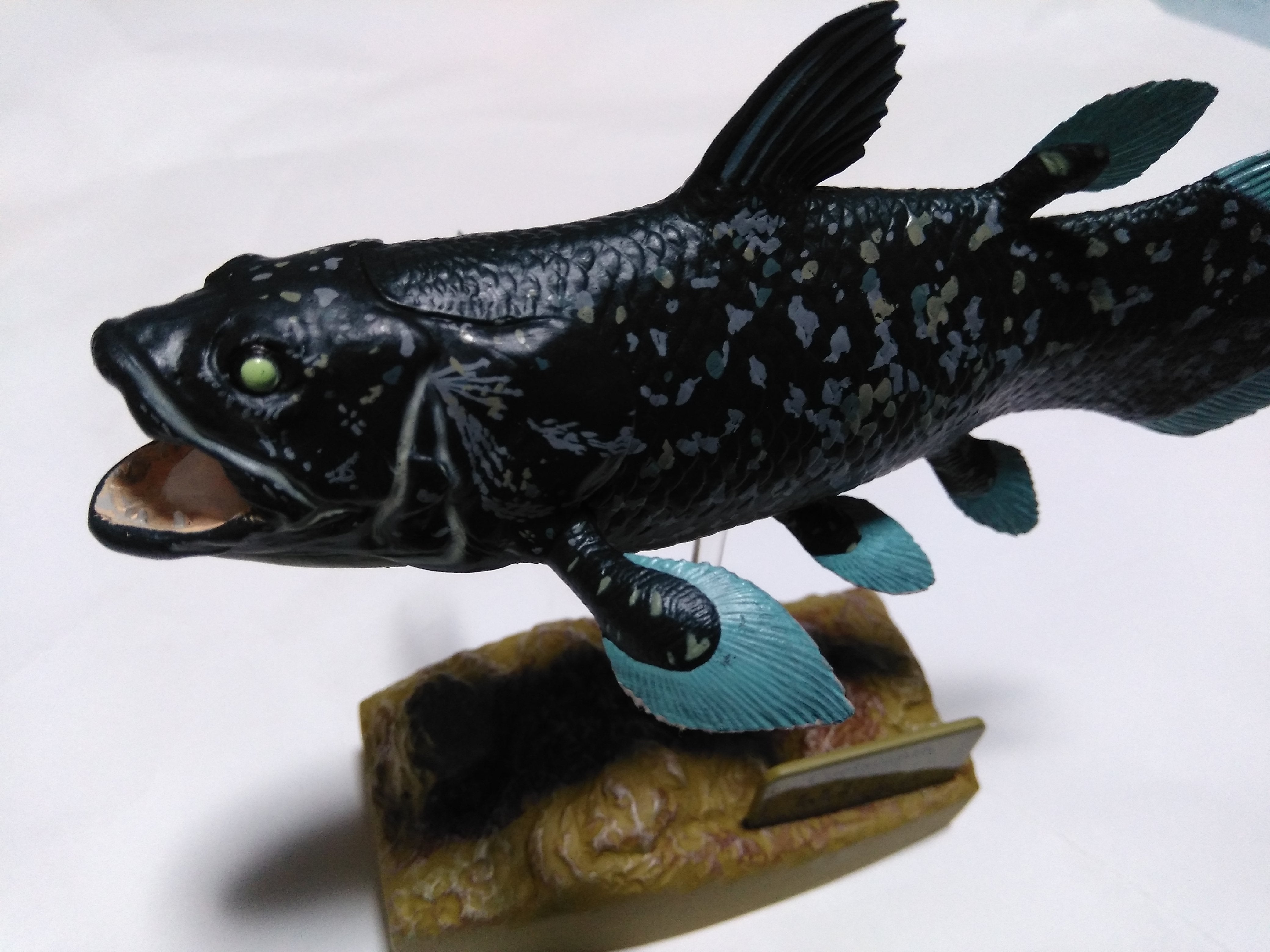 沼津港深海水族館限定・シーラカンスフィギュア | とっしーのブログ