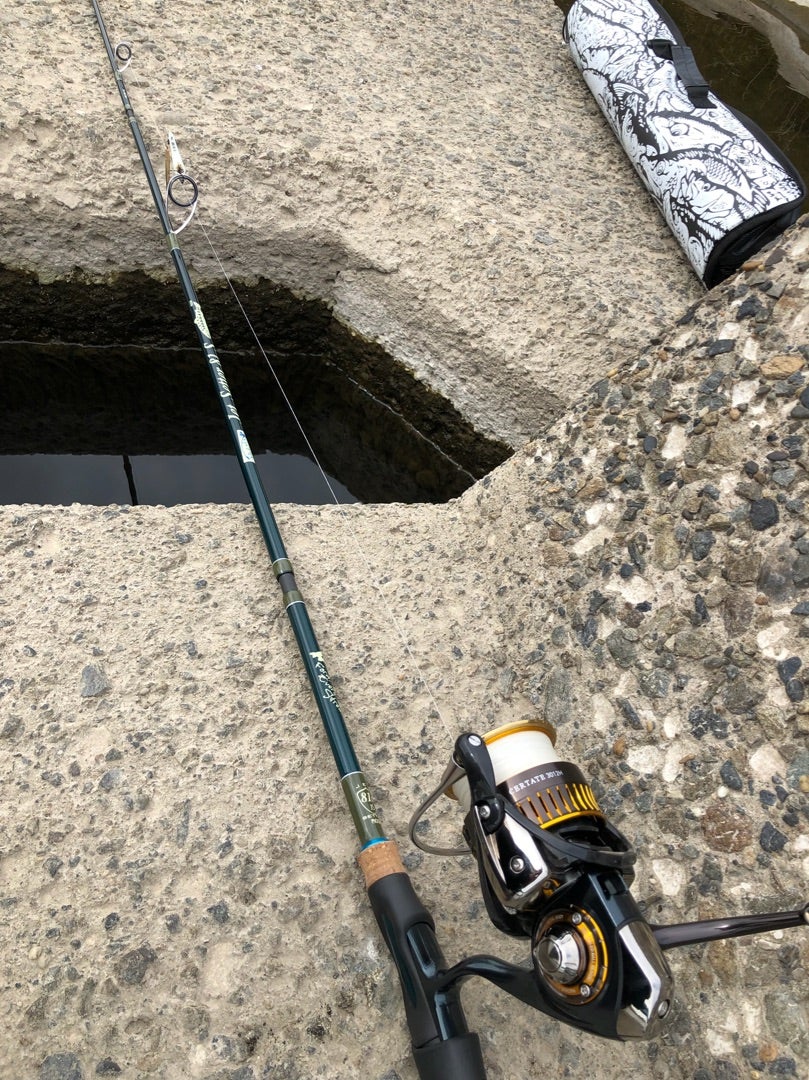 多摩川へ | Paint It, White！