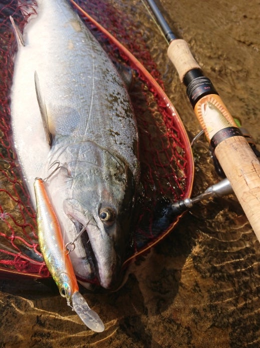 ホンナミロッドの新着記事｜アメーバブログ（アメブロ）