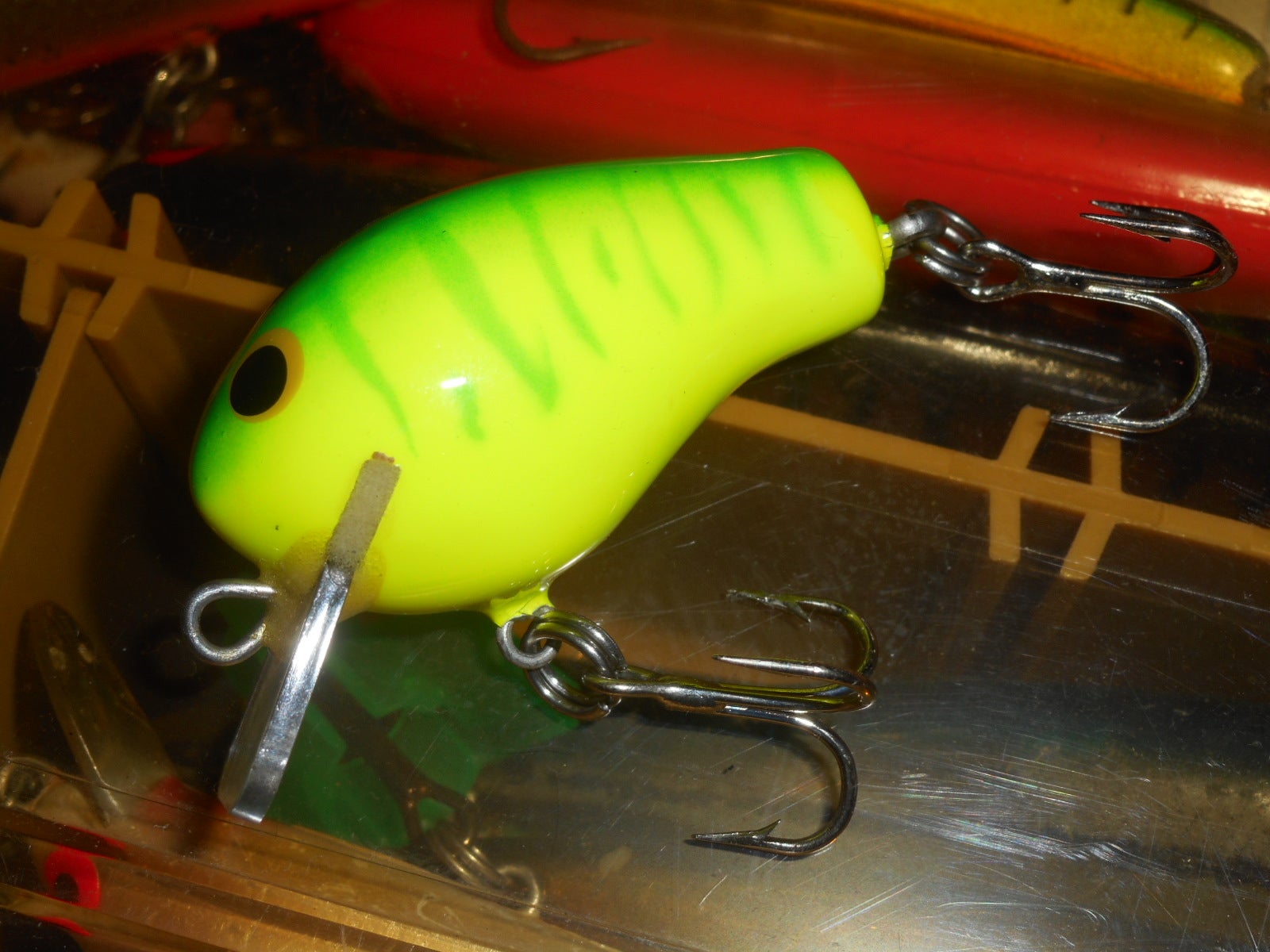 バグリー・ビティーB | 少し古めが好き？