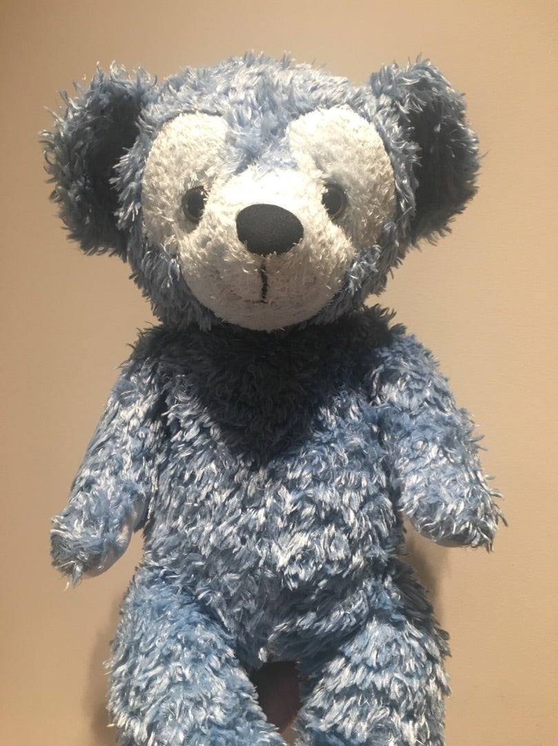 心臓が止まりそうになった。憧れていた彼と出会う。WDWディズニーベア