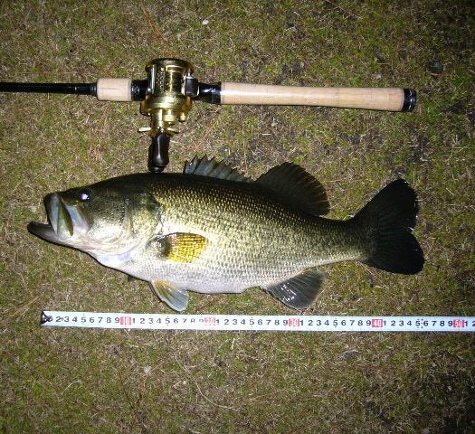 シマノ ファイナルディメンション TS-1610LF （ロクテンクランキング