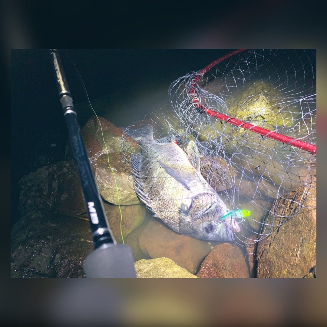 ディアルーナ MB S800L-4 インプレッション＆豆アジの集い