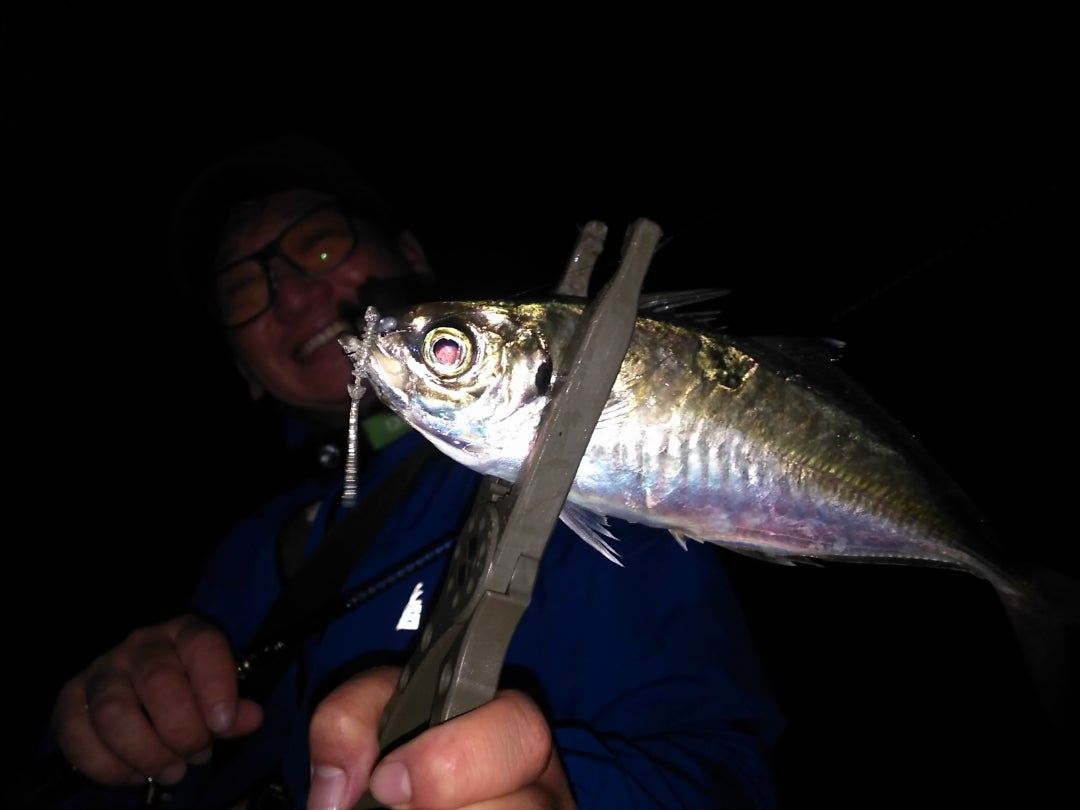 SALTY BRAVE Witch Sensor | レベロクのさてどうする？裏面…