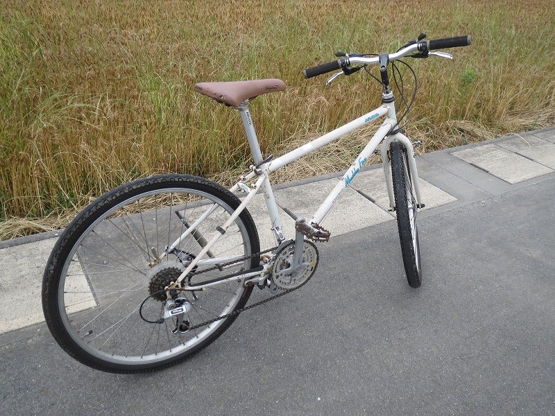 蘇る金狼その1 ARAYA マディフォックス MF26EXP-G | アイドルやバイク