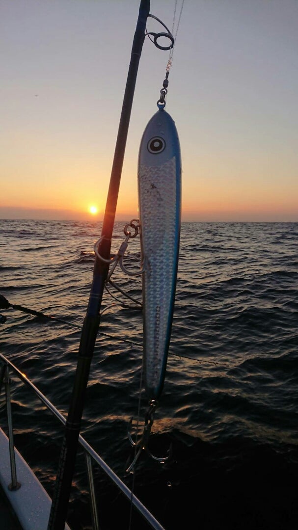 Dive Bait 「300」 | ローカルスタンダードのブログ