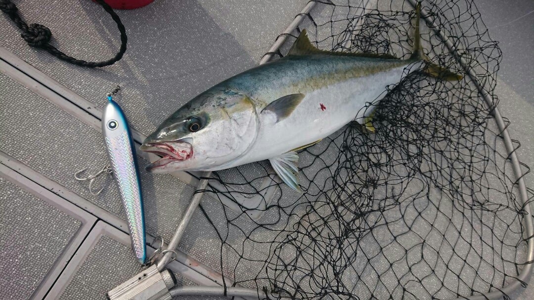 Dive Bait 「300」 | ローカルスタンダードのブログ