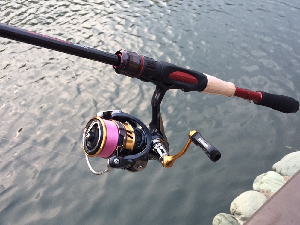 DAIWA ブレイゾンMB 666TLS（ガイド交換） | 5匹/時間