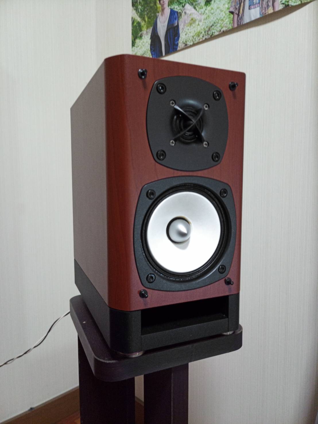 ONKYO D-55EX | をぢさん＠ケーブル屋さん