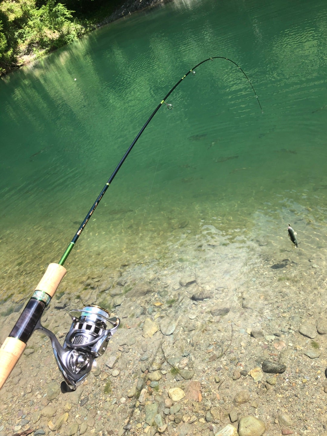 ☆オリジナル ホワイトウルフ62UL-e 販売のお知らせ!!☆” | マッチーの