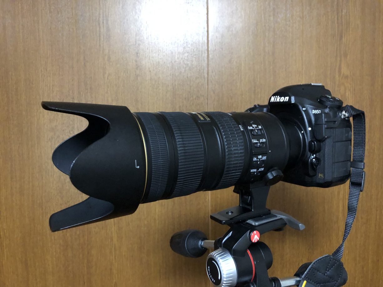 AF-S NIKKOR 70-200mm f/2.8G ED VR II 購入記 | とある大学生のカメラ日記