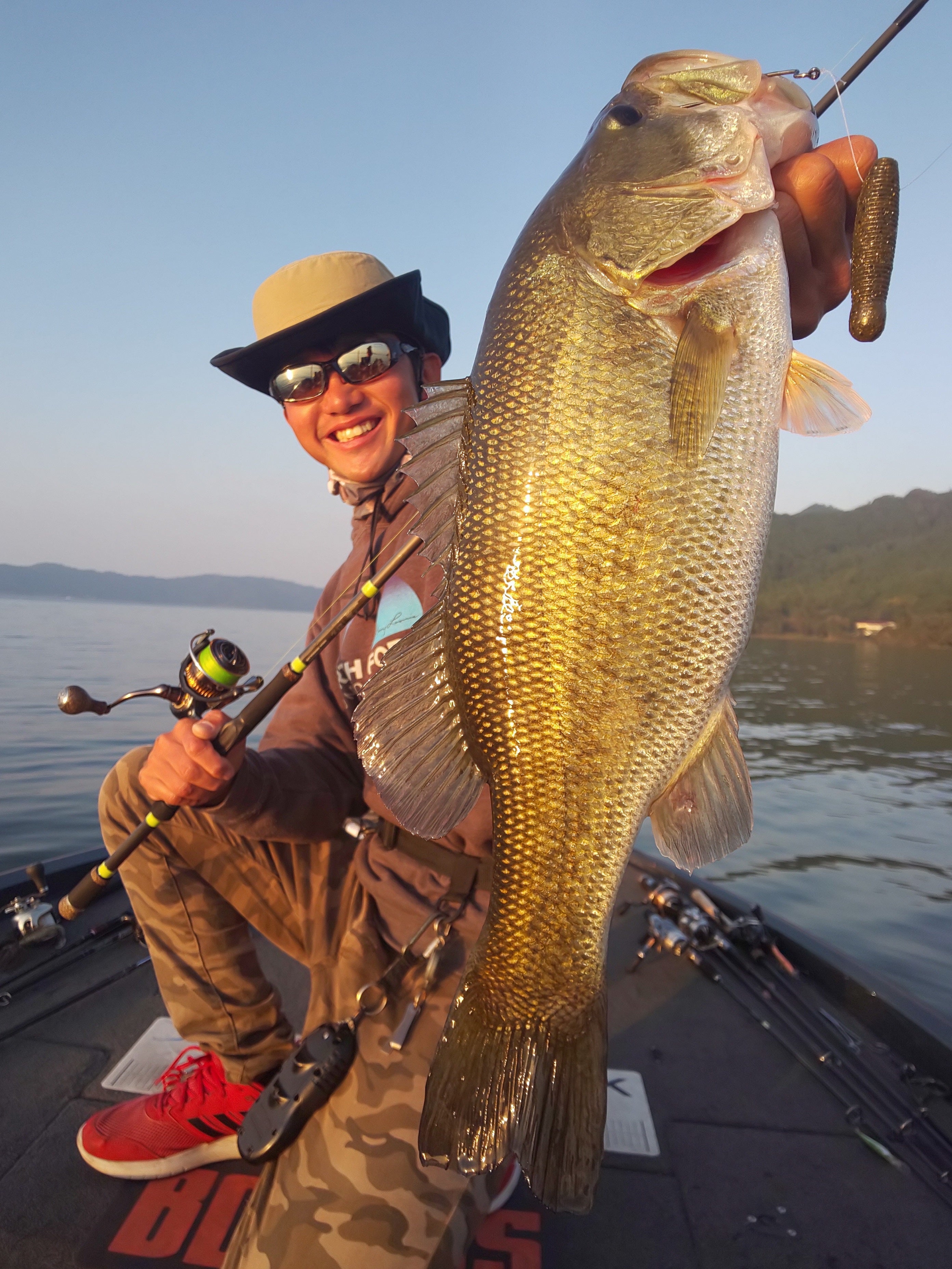 ZFX ZS71MH POWER SPIN発売！ | Mogihanon's diary