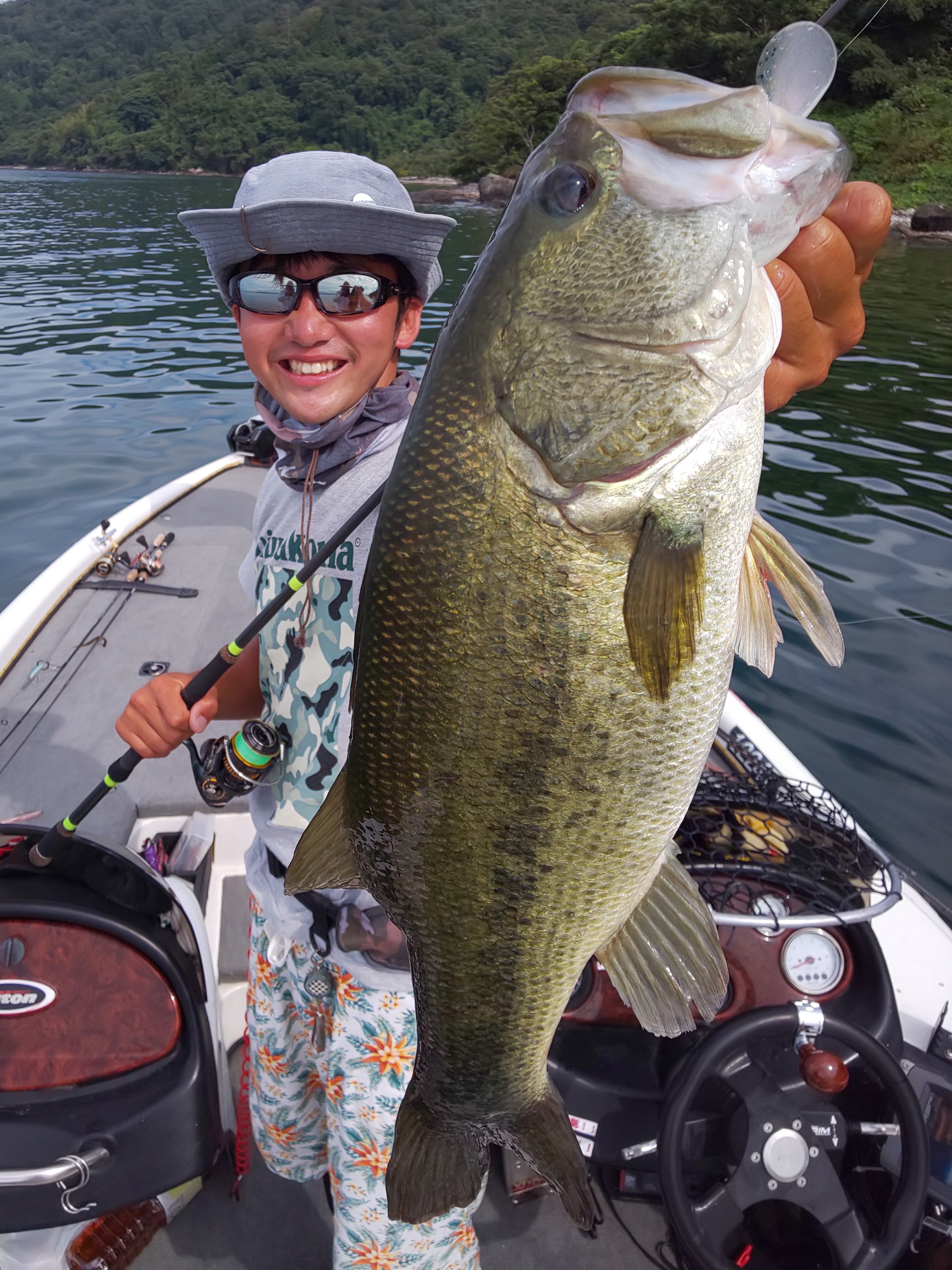 ZFX ZS71MH POWER SPIN発売！ | Mogihanon's diary