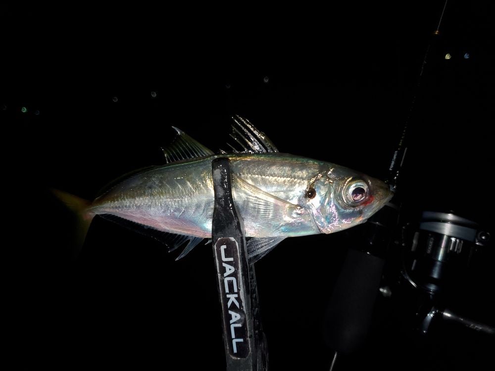 ソルセン スペリオル SPRS-64UL-T シャープカット使ってみた