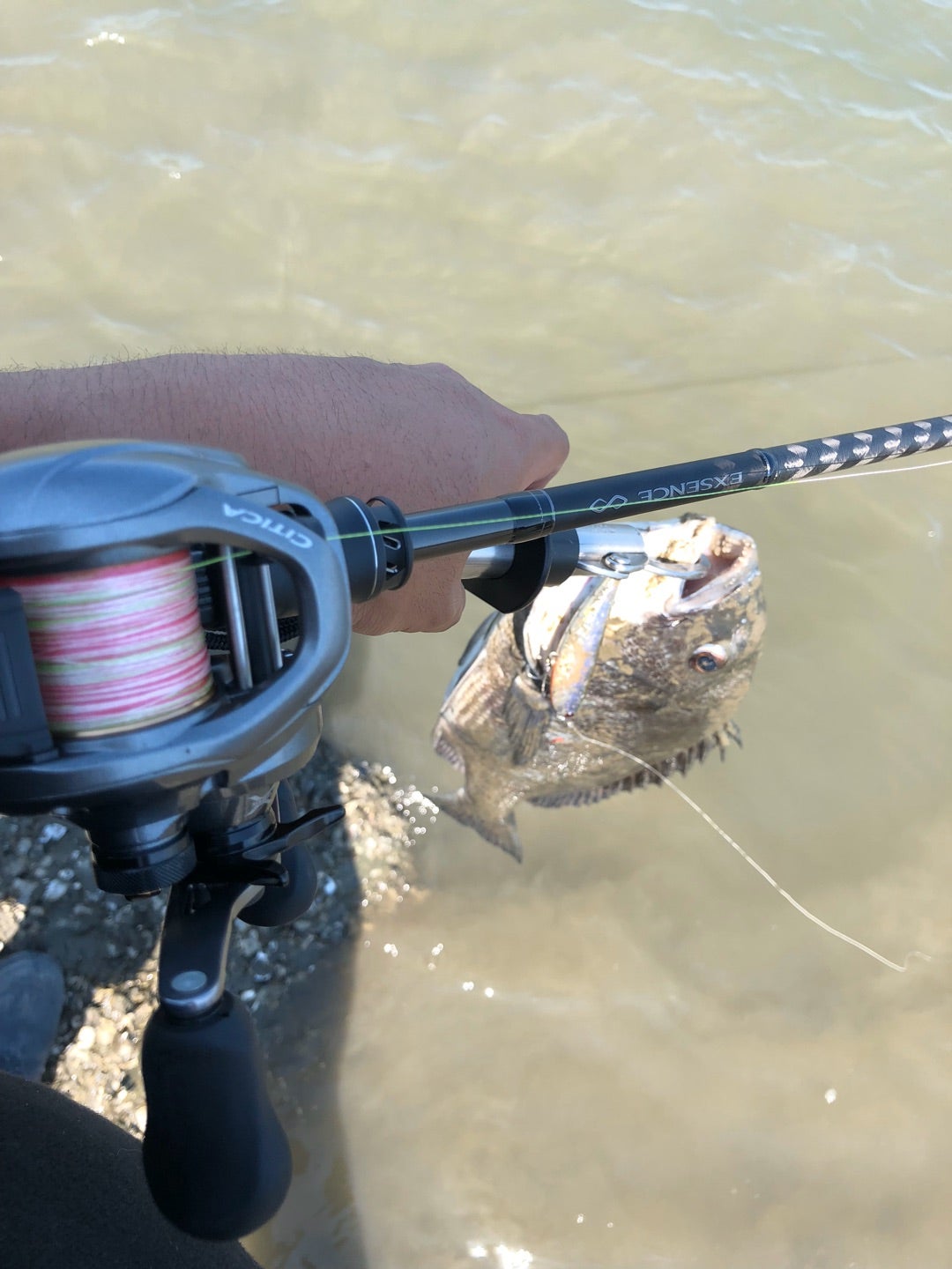 エクスセンスインフィニティ B806M/R インプレ | だるだる釣り日記