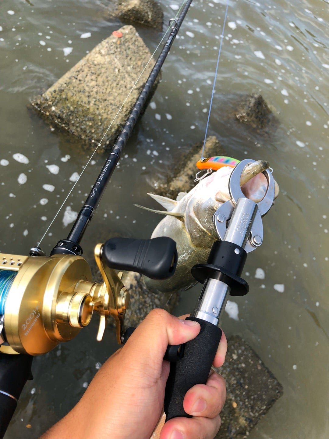 エクスセンスインフィニティ B806M/R インプレ | だるだる釣り日記