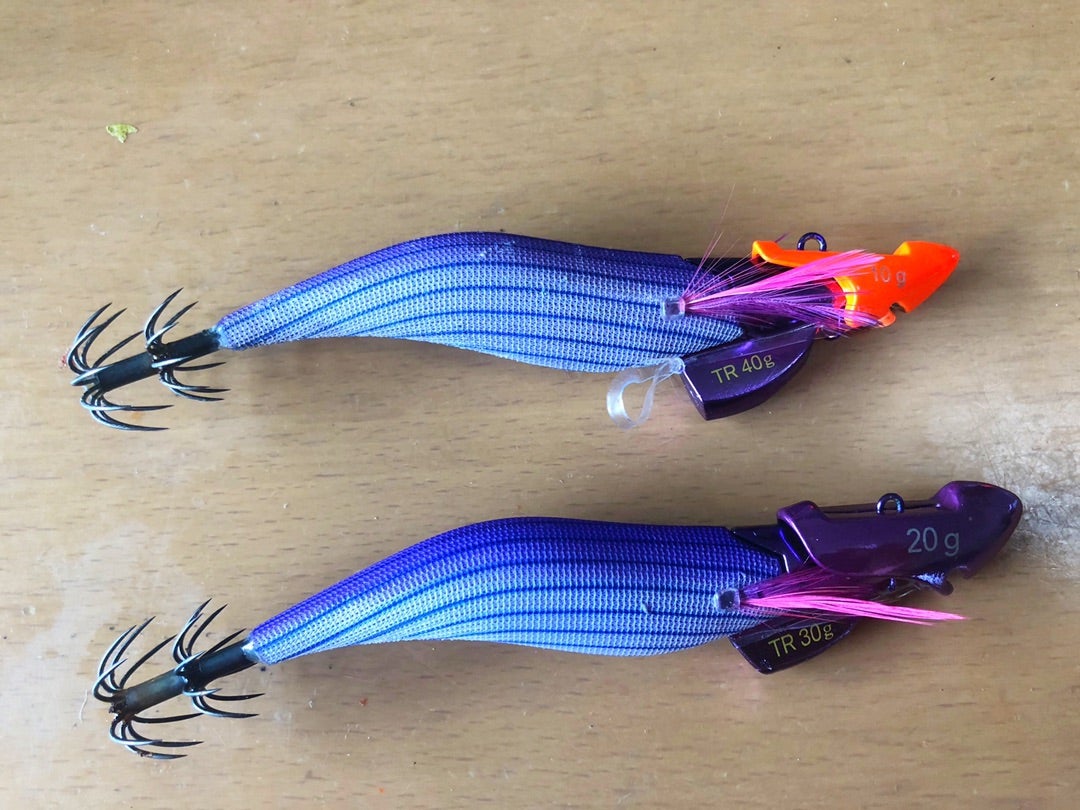 ダートマックスTRに仮面シンカー、月弓、アオリイカざんまい | Fishing