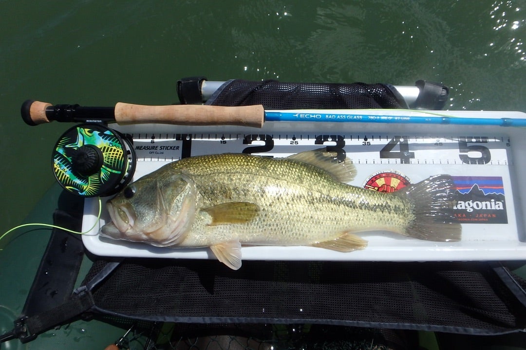 フラデバに興味ある方へ、ズバリこの釣りはトップウォーターゲームです