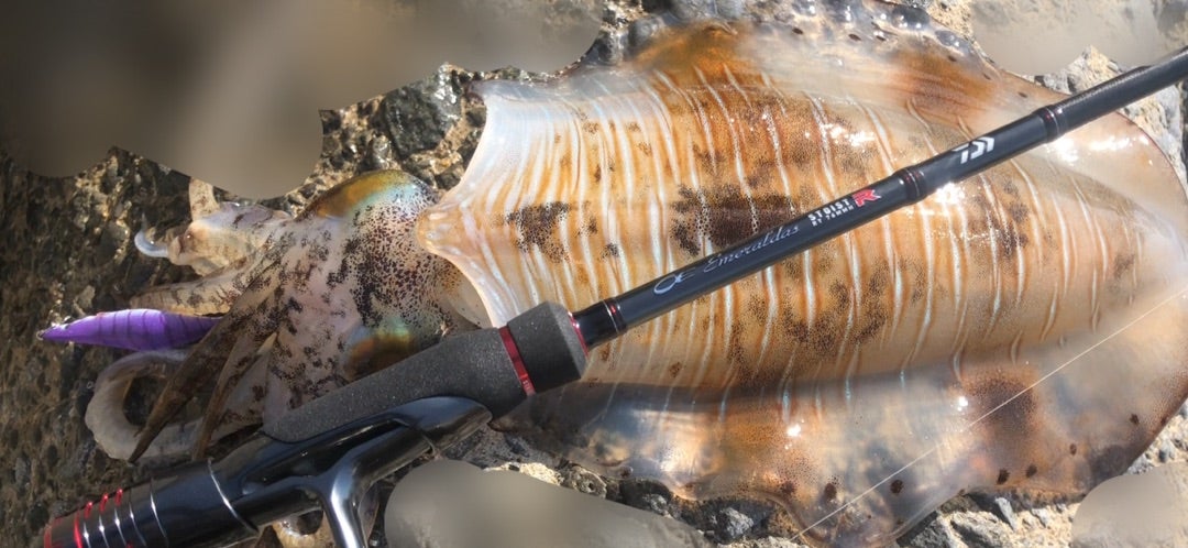 DAIWA emeralds stoist RT 76MMHのレビュー | teiteiのエギング でおき
