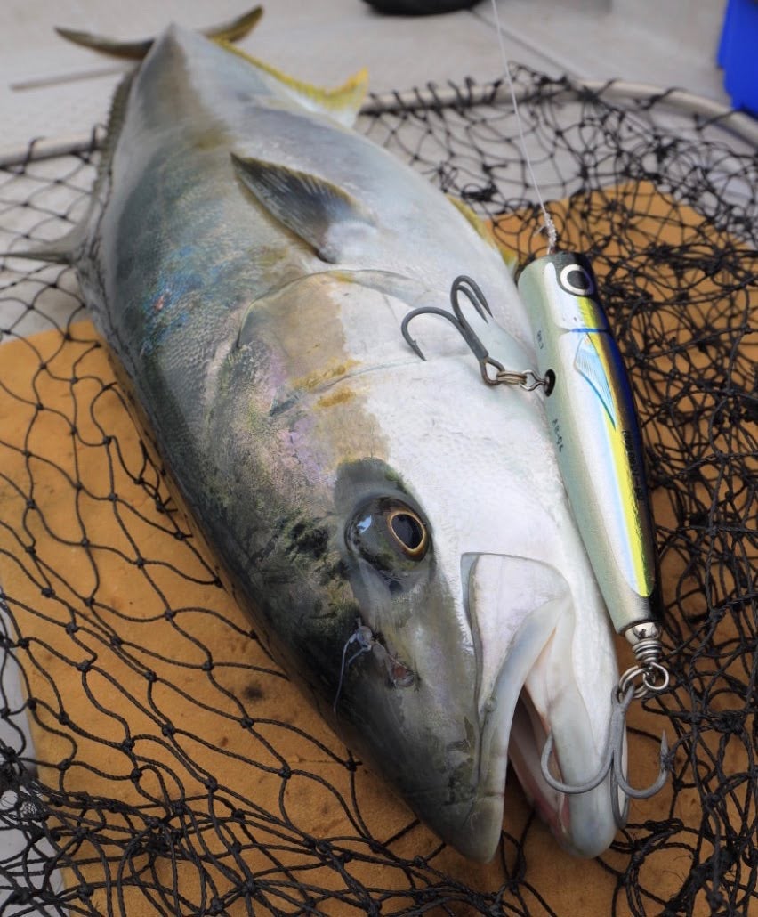 Newサイズ ダムセル90 製作中 | カーペンタールアー、ロッド研究室