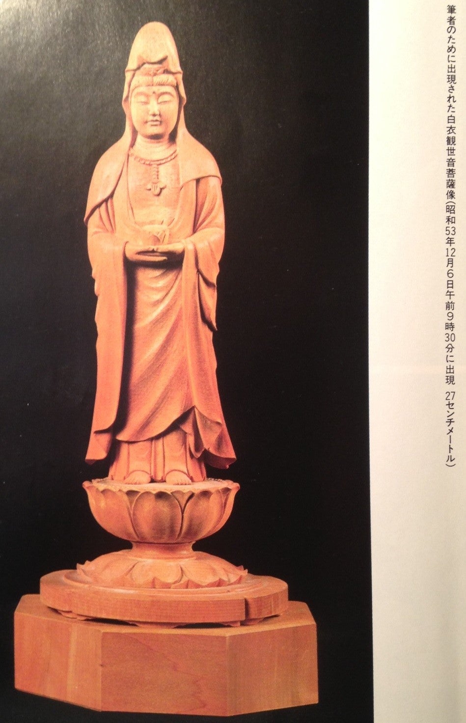 精神文明と奇跡』 著者：政木和三 | 真理は自然の中に在り