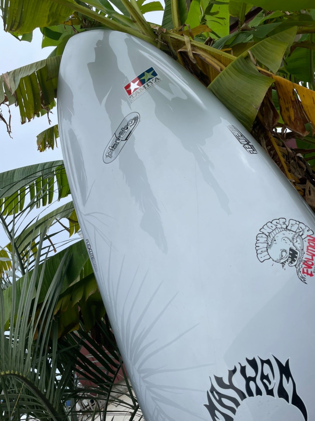 中古プレセボ RNF-EVOLUTION ラウンドノーズフィッシュ 入荷！ | 徳島