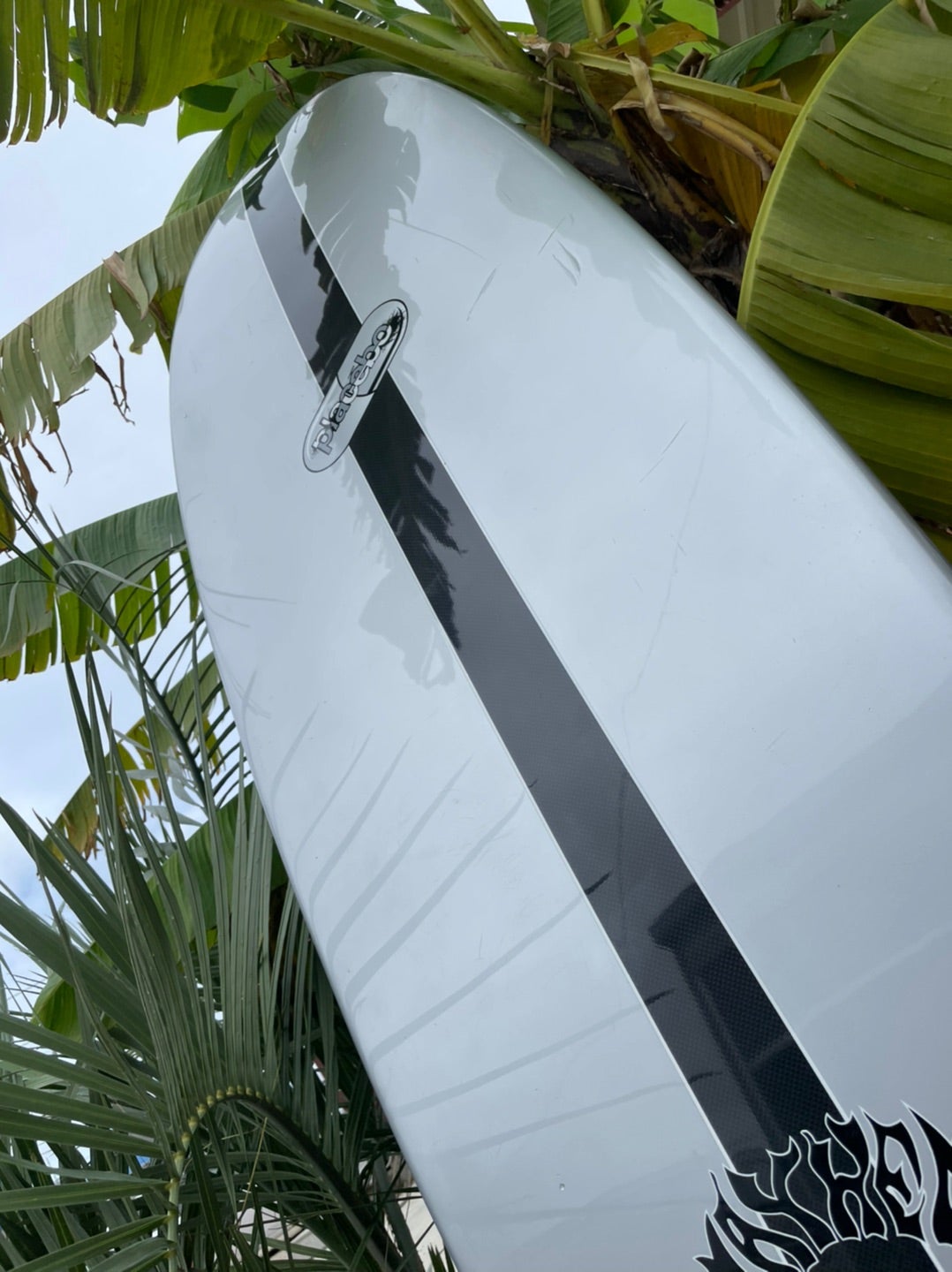 中古プレセボ RNF-EVOLUTION ラウンドノーズフィッシュ 入荷！ | 徳島