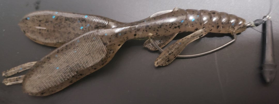 超絶信頼している『ノリーズ エスケープツイン』 | うっちーの琵琶湖