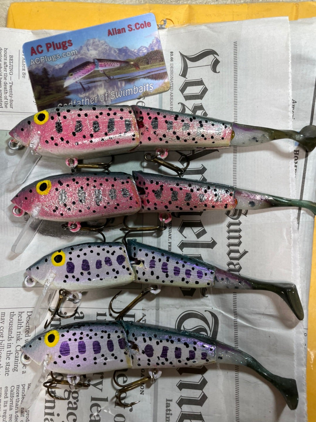 ACプラグがやって来た | いわのふ釣行録