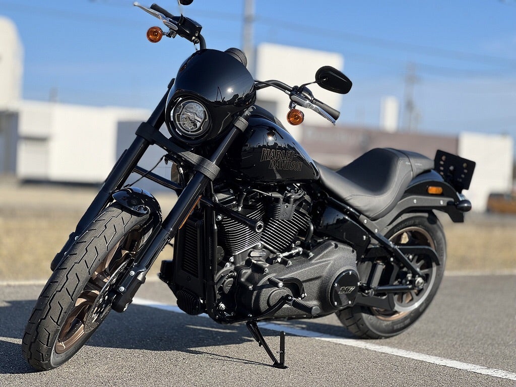 バッドランダーシート | ハーレーダビッドソン徳島のブログ