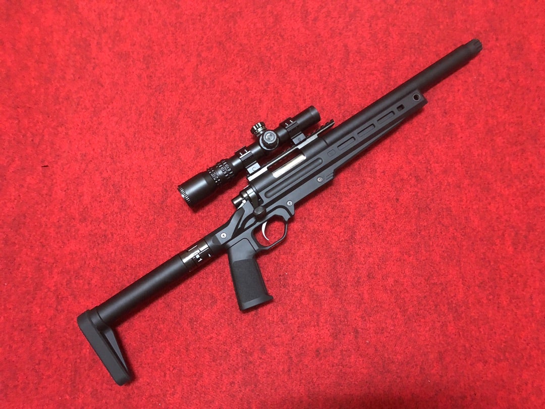 俺と言うオトコは…（第二弾）VSR-10と… | tatsupapa1201のブログ