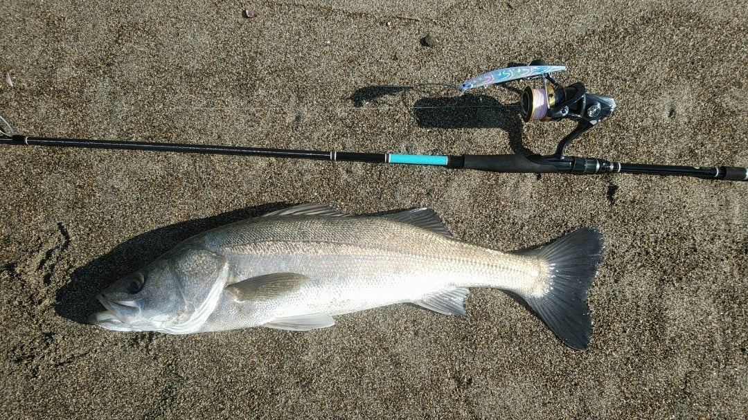 オススメロッド サーフトライブ1082ML！！ | NO PLAY NO FISH ﾖｼﾀｶ