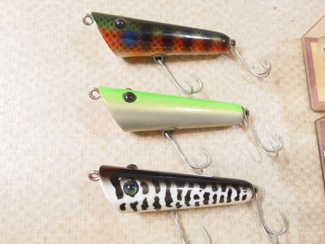 ズイール ゲイリーウィッチ いっぱい入りました ゲイリーウィッチ の