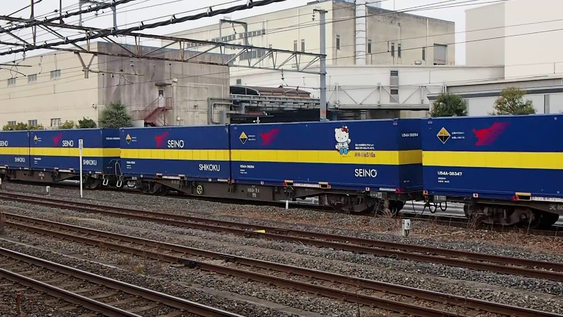 U54A-38294 コンテナ U54A-38294 仕事でもいつもお世話になっており