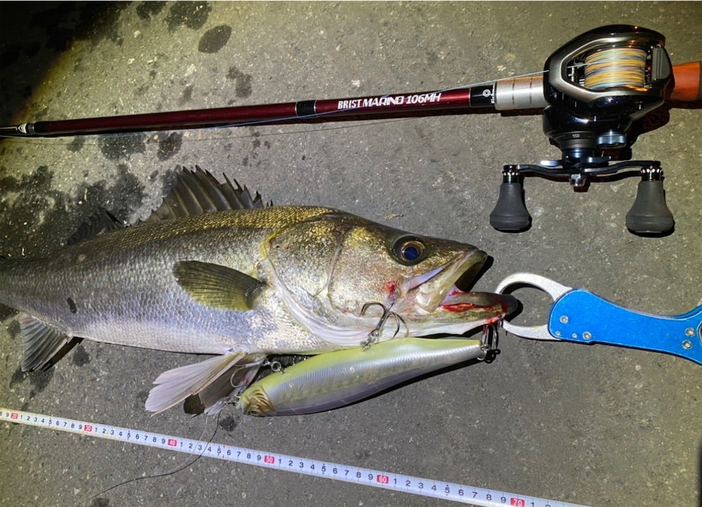 フィッシュマン ブリストマリノ106mh シマノ グラップラーその2 そして