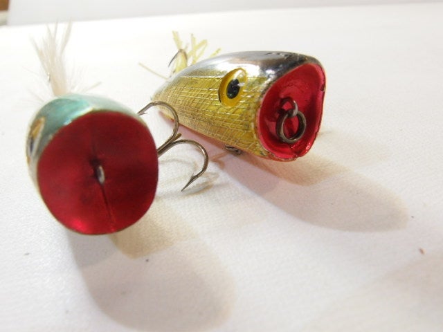 レーベル ポップR 古いの、新しいの いっぱい入荷しました | ランブル