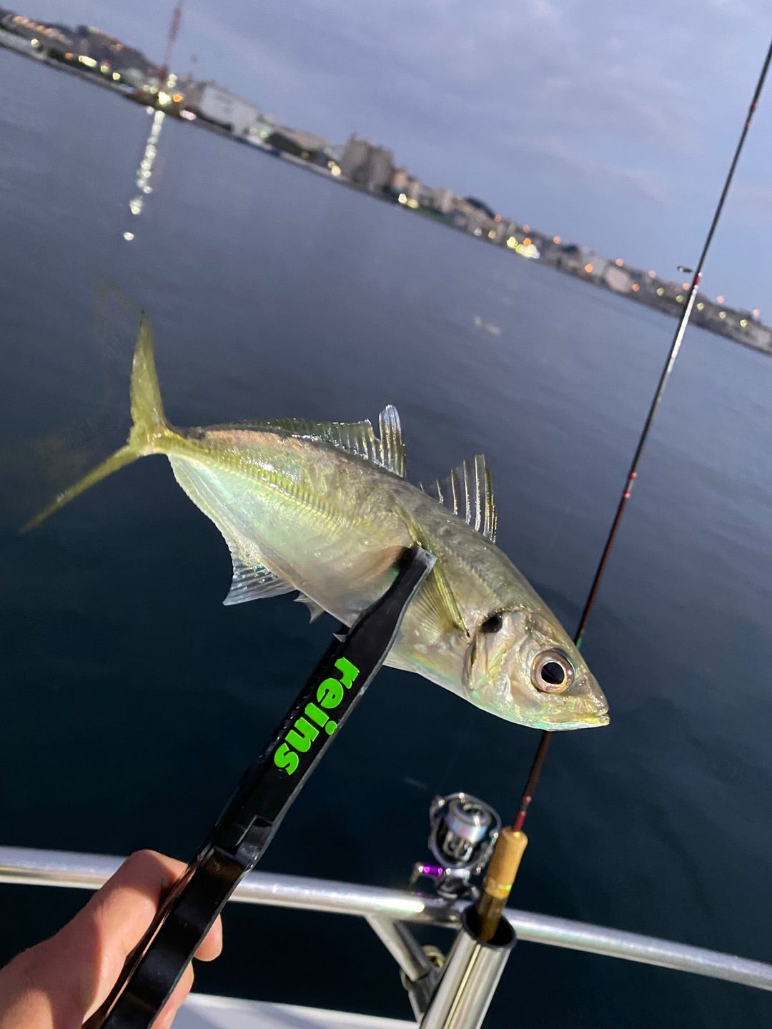 ロデオクラフト ホワイトウルフ606L-e【ロッドインプレ】 | やすきの