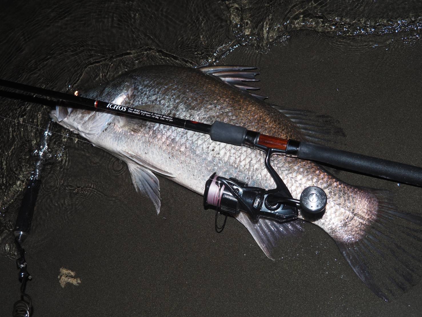 イクオスオーナー様・気になっている皆様へ、ご報告と新たなお知らせ