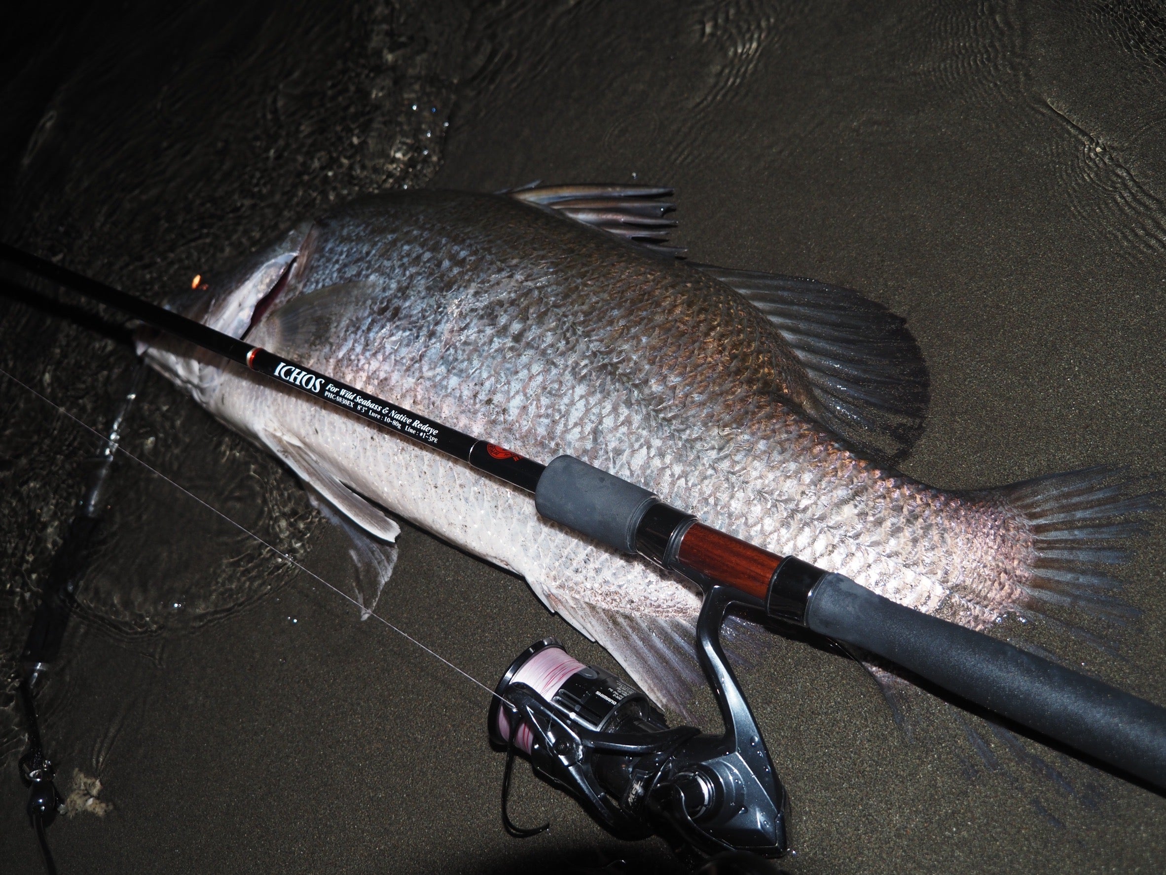 イクオスオーナー様・気になっている皆様へ、ご報告と新たなお知らせ