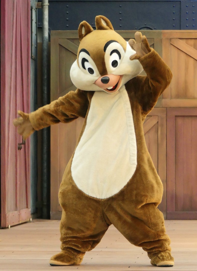 TDS】ジャンボリーミッキー、チップとデール編 | カメリアさんの雑談