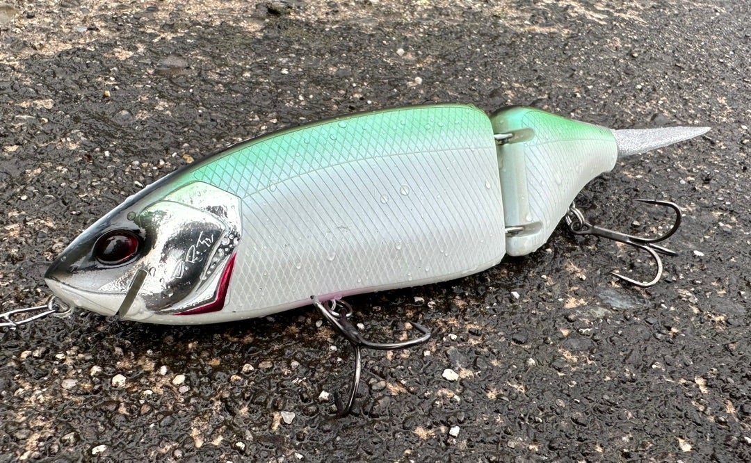 FLカラー7th抽選販売のお知らせ】 | Fish! tackle shopのブログ