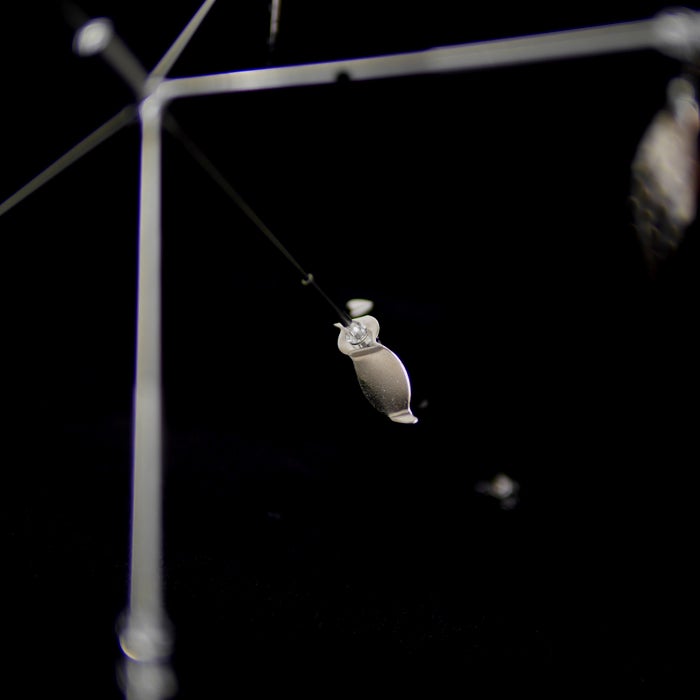 五三川で生まれたアラバマリグ！「インサイド プロップフッカー」通販