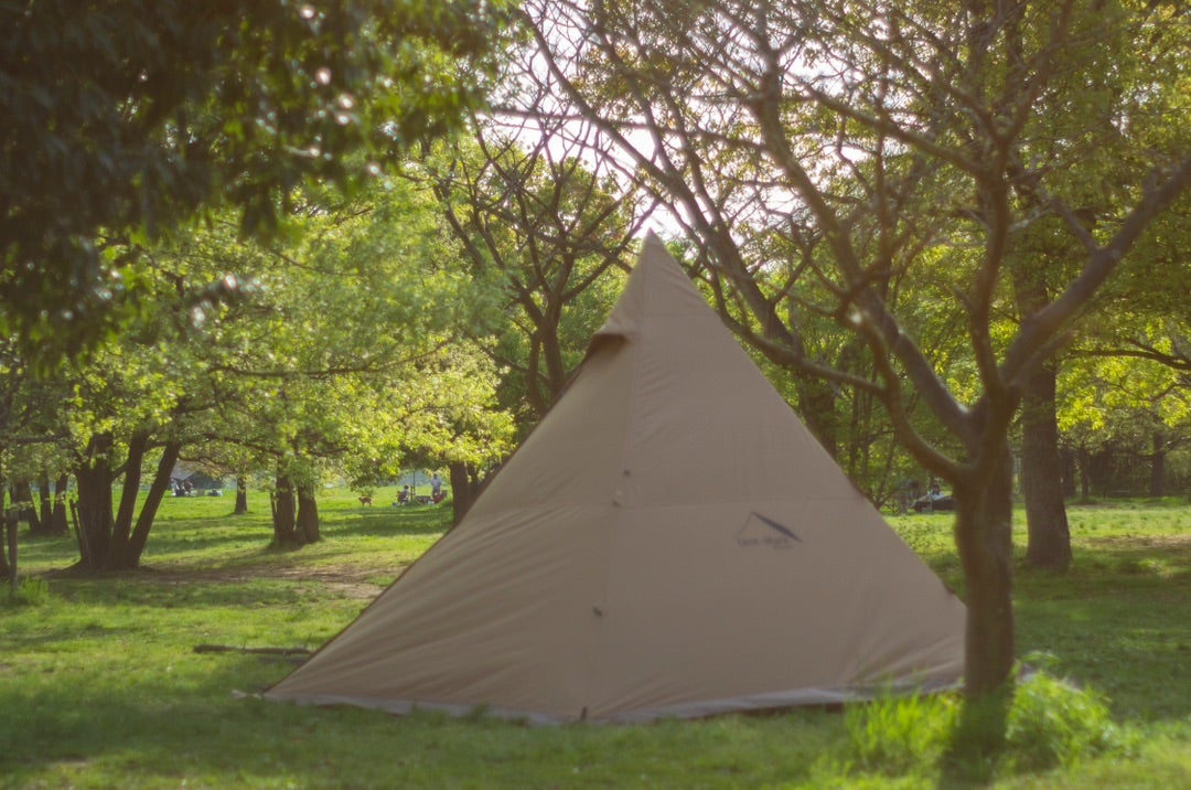 テンマクデザインサーカスTCコンフォートミッド（mid）試し張り