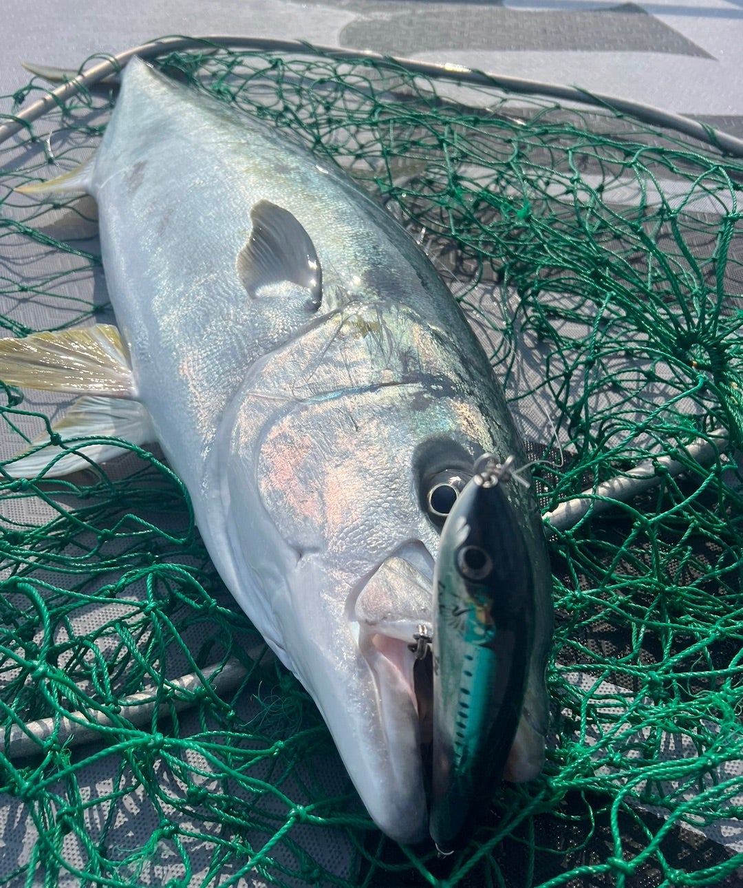 BFのNBタイプ 製品化 発売 | カーペンタールアー、ロッド研究室