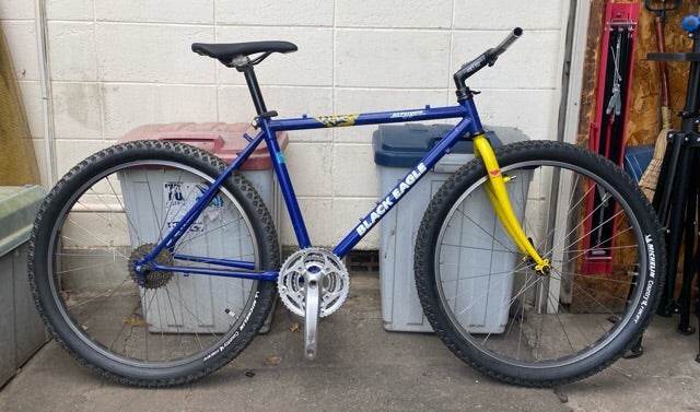 丸石 ブラックイーグルが来ました(カザノワシに泥狐、次は山猫狙い