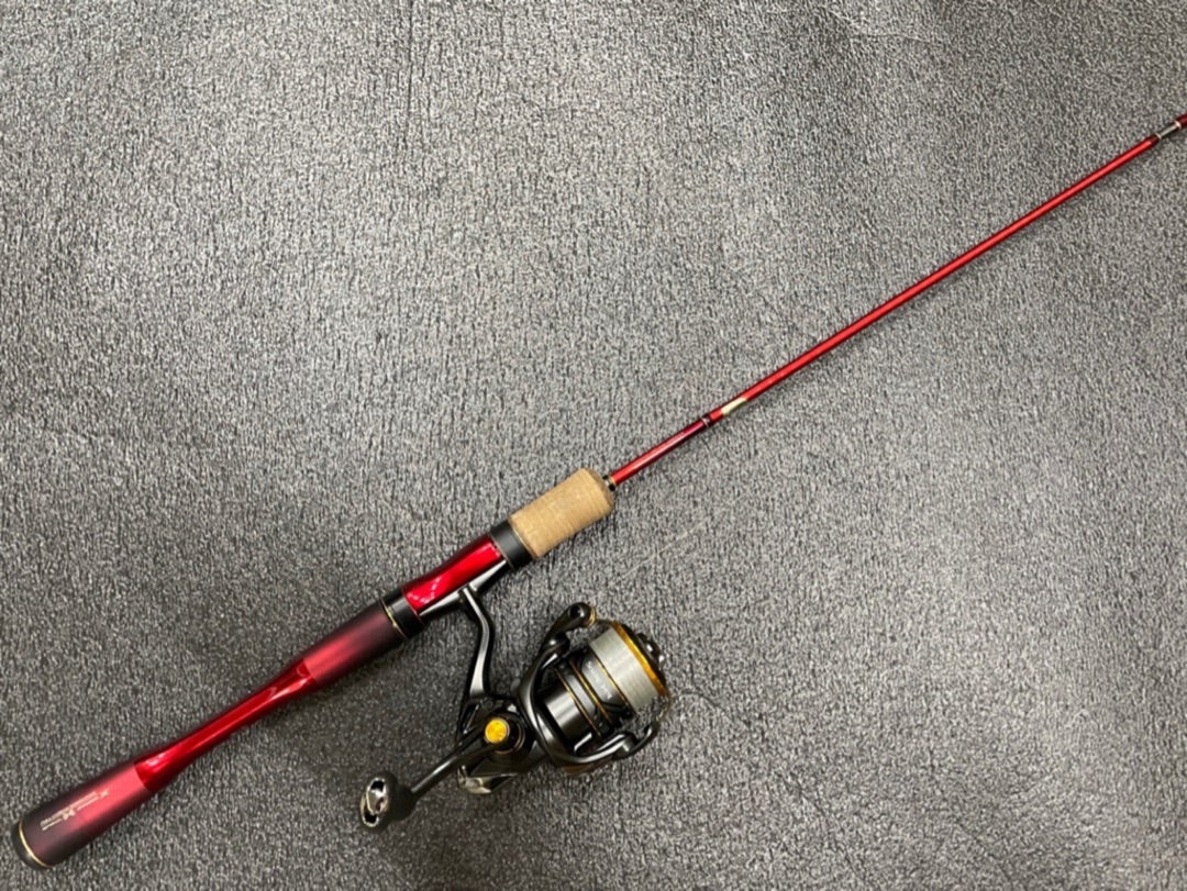 WORLD SHAULA1602R-5 【公式通販】